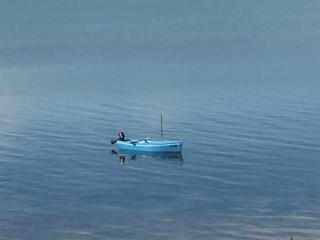 App 4 - 6 persons direct on the seaside, 1st floor - 1