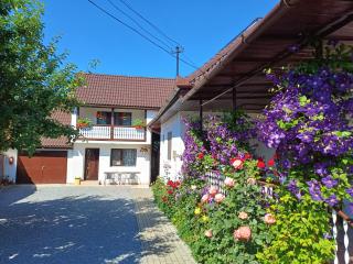 Casa Șallai - 9