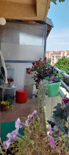 Apartment Zira1 - 9
