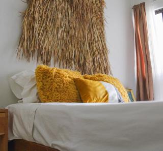 Bokatrip Xochimilco - 9