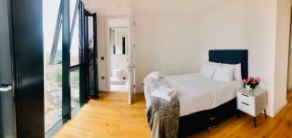 Luxury 2 bedroom apartment 20 min from central London - London - 6