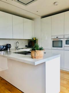 Luxury 2 bedroom apartment 20 min from central London - London - 1