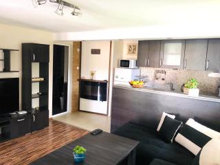 Pavlovi Apartments - Samokov - 6
