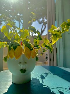 Cerio Guest House - Anacapri - 6