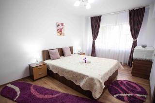 Camarad’s house - lovely apartment in Alba Iulia - Alba Iulia - 5