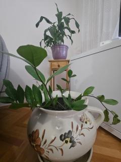 Apartman Zeljko - Mostar - 5