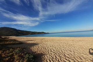 Beautiful apartment at 100m from the beach - Calcatoggio - 4