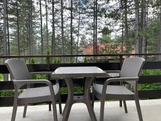 Smeštaj Nedić Karaula - 5