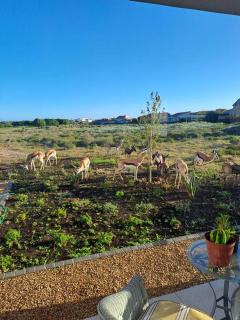 Lagoon Links Studio - Langebaan - 3