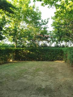 Glamping Agricampeggio Tognoni - La Sdriscia - 9