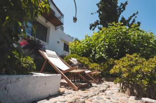 Labyrinth. The Wild life of Crete - Katsifarianá - 9