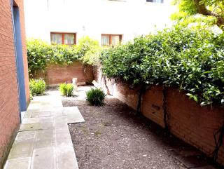 Immersa nel verde - Venice - 1