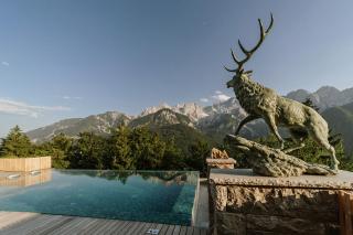 Chalet Sofija - Gozd Martuljek - 6
