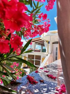 Apartments Dumic Crikvenica - Crikvenica - 7
