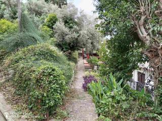 Apartmani Gina - Sutomore - 6