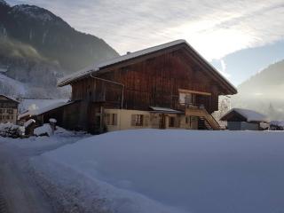 Appartement cosy aux Aravis (Clusaz/Grand-Bornand) - Entremont - 9