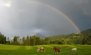 Pension Sunnbichl - Going am Wilden Kaiser - 2