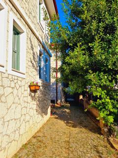 Paradise İmroz Butik Otel - Gokceada Town - 6