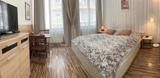 Prague Old Town Apartment Benediktska 6 - Praga - 9