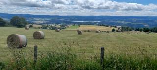 Gite Le petit Nice - Pradelles - 3