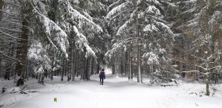 Gite Le petit Nice - 3