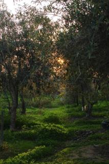 Cabañas Guanaqueros Arriendo Diario - 9