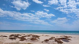 Brand New Beautiful House La Brisas by Kivoya - 9