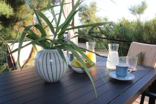 Sha-Shaaa Luxury Mobile Home - Terra Park SpiritoS - Kolan - 2