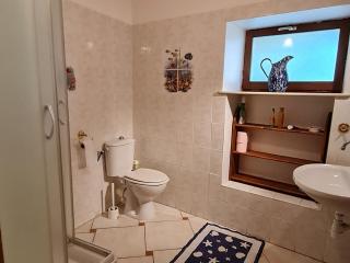 Maison spacieuse et confortable avec terrasse et jardin, idéale pour famille ou entreprise - FR-1-585-29 - - 9