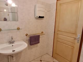 Maison spacieuse et confortable avec terrasse et jardin, idéale pour famille ou entreprise - FR-1-585-29 - - 8