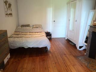 Échoppe bordelaise avec jardin et piscine - 6