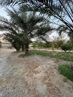 Wadi Alsidra - 0