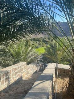 Alsalam Farmhouse - 6