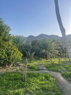 Alsalam Farmhouse - 3