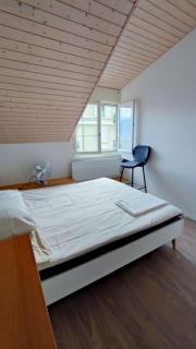 Duplex avec vue lac et montagnes - 4