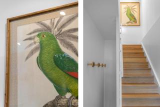 Tallwood Canopy - Narrawallee - 3