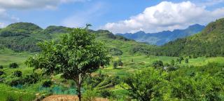 Lý quý homestay - Bong Ha - 3