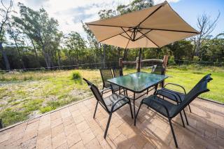 Wallabies, parrots, farm animals - 5