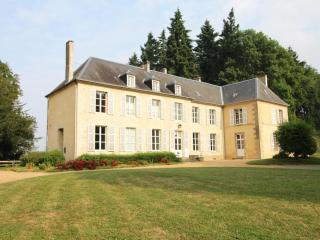 Château élégant avec grand parc, animaux, cheminée, jeux, et tout confort dans le Perche - FR-1-497-102 - Bellavilliers - 0