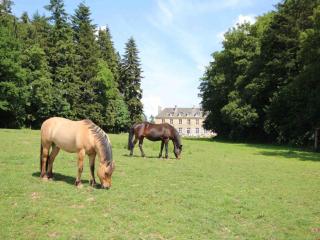 Château élégant avec grand parc, animaux, cheminée, jeux, et tout confort dans le Perche - FR-1-497-102 - Bellavilliers - 9