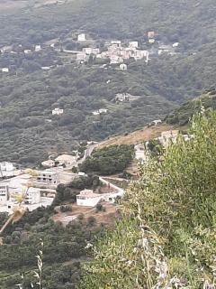 Ribellu - Bastia - 6