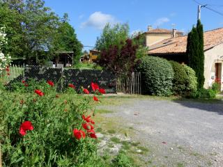 Le Chai de Mario - 9