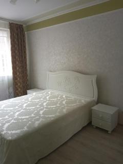 Шикарные апартаменты на ул.Княгини Ольги ,100К. - Lviv - 0