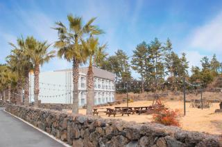 Dammora Resort - Seogwipo - 6