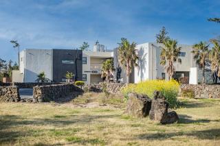 Dammora Resort - Seogwipo - 3