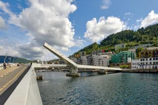 Stylish 2-BR Retreat in Heart of Vibrant Bergen - Bergen - 9