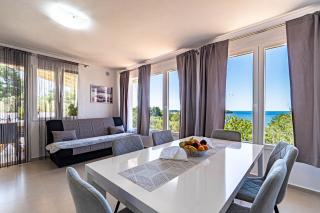 Villa Blue Panorama - Vela Luka - 4