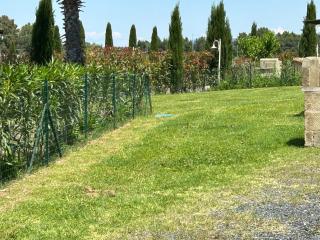 Fattoria Palazzeta - Pet & Family Friendly - Cecina - 9