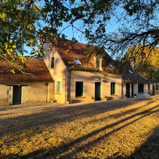 Domaine des Aulnaies - Beauval - Mareuil sur Cher - Mareuil-sur-Cher - 9