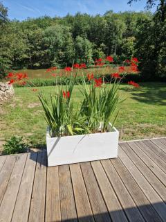 Domaine des Aulnaies - Beauval - Mareuil sur Cher - 2